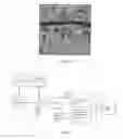 Fig. 06 - IMAGE CODING METHOD WITH TEXTURE SYNTHESIS