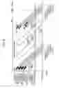 Fig. 07 - Image forming apparatus having belt drive control