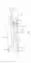 Fig. 02 - Sealing for vane segments
