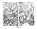 Fig. 08 - Peripheral-type benzodiazepine receptor expression level as an index of organ damage and regeneration