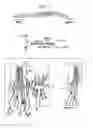 Fig. 02 - SYSTEMS AND METHODS FOR IDENTIFICATION OF CILIOPATHY THERAPEUTICS