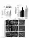 Fig. 02 - Elastin producing fibroblast formulations and methods of using the same