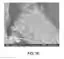 Fig. 35 - Processing biomass