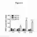 Fig. 07 - Function of GPR4 in vascular inflammatory response to acidosis and related methods