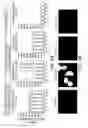 Fig. 09 - Alpha 5 beta 1 and its ability to regulate the cell survival pathway