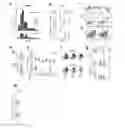 Fig. 01 - AEROSOLIZED GENETIC VACCINES AND METHODS OF USE