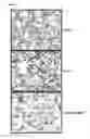 Fig. 09 - AEROSOLIZED GENETIC VACCINES AND METHODS OF USE