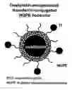Fig. 01 - Liposome compositions