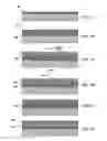 Fig. 02 - METHODS AND DEVICES FOR PROCESSING A PRECURSOR LAYER IN A GROUP VIA ENVIRONMENT