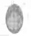 Fig. 02 - Method and apparatus for making optical tiles