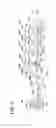 Fig. 02 - ELECTROSTATIC IMAGE DEVELOPING TONER AND IMAGE FORMING METHOD