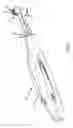 Fig. 02 - Oral brushing devices and/or methods