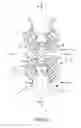 Fig. 09 - Oral brushing devices and/or methods
