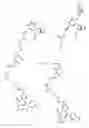 Fig. 02 - Nucleotide analogs