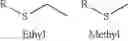 Fig. 08 - Nucleotide analogs