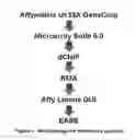 Fig. 02 - Transcriptional profiling of stem cells and their multilineage differentiation