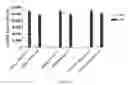 Fig. 03 - Assay methods for identifying glycogen synthase kinase 3 modulators