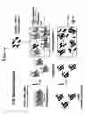Fig. 02 - Method for detecting misfolded proteins and prions