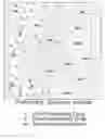 Fig. 01 - MULTIPURPOSE MICROFLUIDIC DEVICE FOR MIMICKING A MICROENVIRONMENT WITHIN A TUMOR