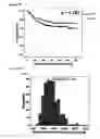 Fig. 06 - Methods for making cancer prognoses based on subcellular localization of biomarkers
