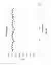 Fig. 07 - Luciferase-based assays
