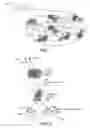 Fig. 02 - Diagnostic gum for screening diabetes