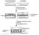 Fig. 01 - Continuous-flow deformability-based cell separation