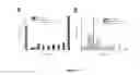 Fig. 08 - Continuous-flow deformability-based cell separation