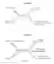 Fig. 07 - Active Microfluidic Membranes
