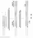 Fig. 27 - Methods for producing and using stem-loop oligonucleotides