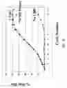 Fig. 45 - Methods for producing and using stem-loop oligonucleotides