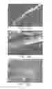 Fig. 10 - Process for Thermal-Mechanical Pretreatment of Biomass