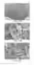 Fig. 11 - Process for Thermal-Mechanical Pretreatment of Biomass