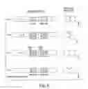 Fig. 08 - Chimeric isoprenoid synthases and uses thereof