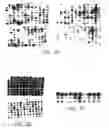 Fig. 09 - Thermostable reverse transcriptases and uses thereof