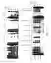 Fig. 15 - Thermostable reverse transcriptases and uses thereof
