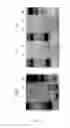 Fig. 08 - SYSTEM FOR PACKAGING HIGH-CAPACITY ADENOVIRUSES