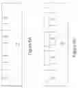 Fig. 07 - Methods of fabricating silicon carbide devices incorporating multiple floating guard ring edge terminations