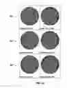 Fig. 06 - Methods of reducing defect formation on silicon dioxide formed by atomic layer deposition (ALD) processes
