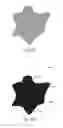 Fig. 09 - Method for finishing and fitting dental restorations and an abrasive material for doing same