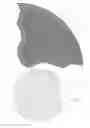 Fig. 08 - Method for making polished gemstones and an abrasive material for doing same