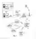 Fig. 02 - Method and system for providing web-enabled cellular access to meter reading data
