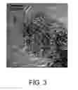 Fig. 04 - NANOTUBE-NANOHORN COMPLEX AND METHOD OF MANUFACTURING THE SAME