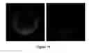Fig. 09 - Method and device for the manipulation of microcarriers for an identification purpose