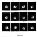 Fig. 22 - Method and device for the manipulation of microcarriers for an identification purpose
