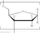 Fig. 37 - Compositions comprising a low-DP polymerized surfactant and a micellar thickener