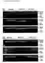 Fig. 28 - Modified Cpn10 and PRR signalling