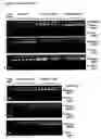 Fig. 32 - Modified Cpn10 and PRR signalling