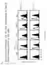 Fig. 02 - AGENT FOR PREVENTING PERIODONTAL DISEASE
