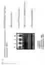Fig. 09 - AGENT FOR PREVENTING PERIODONTAL DISEASE